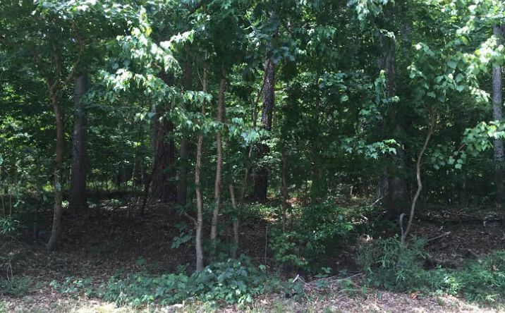 Pictures of Land property located at Boulder Park Dr, Atlanta, GA 30331 for sales - image #1