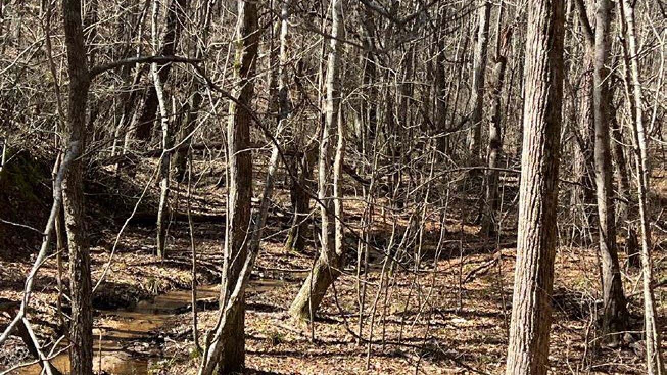 Atlanta Newnan Rd, Palmetto, GA 30268