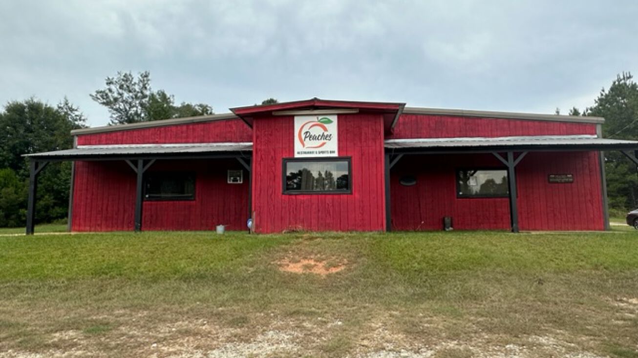 12 Cottonton Rd, Pittsview, AL 36871