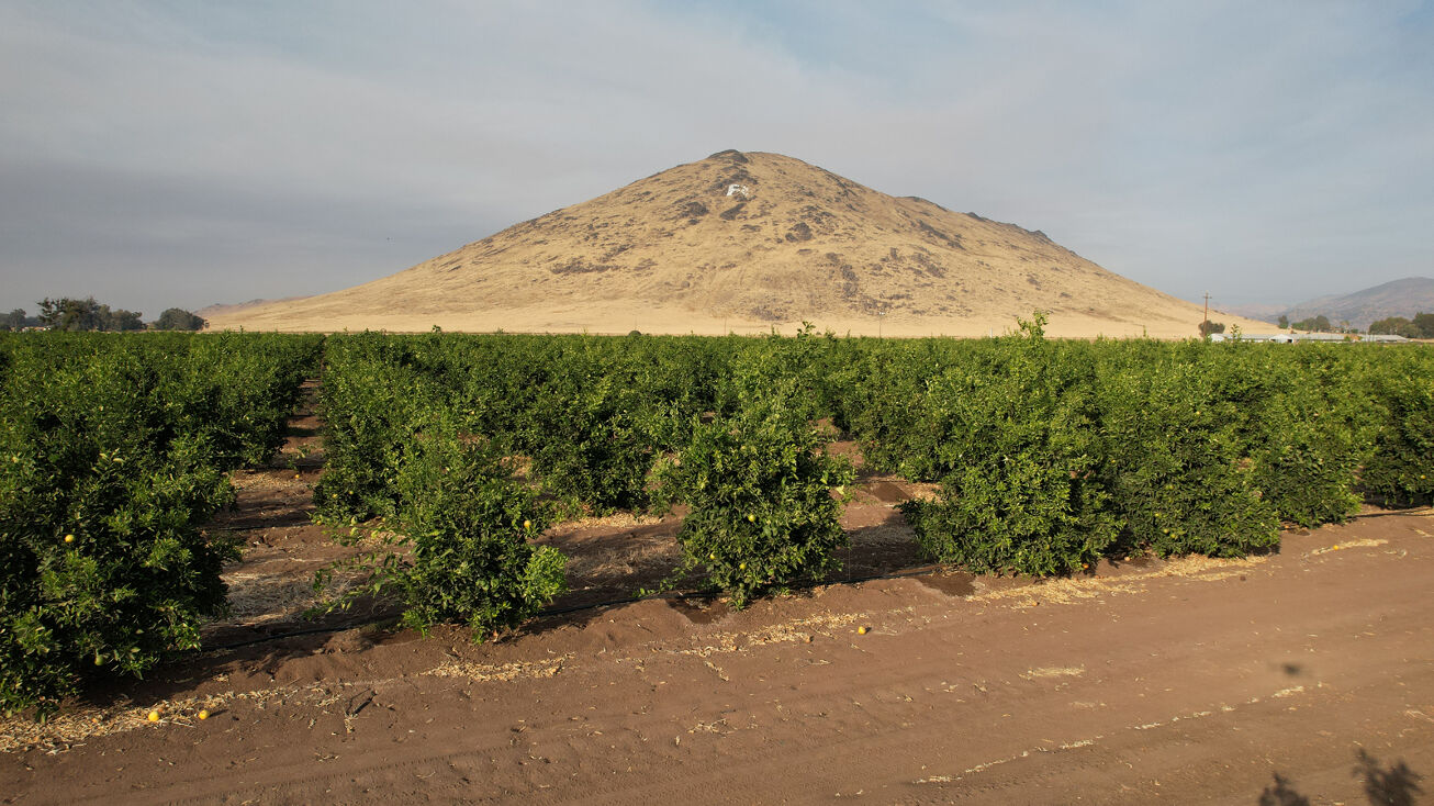 3718 S Haney Ave, Reedley, CA 93654