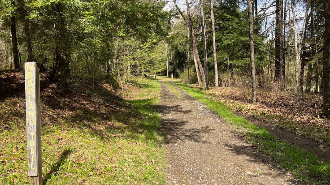 Bordell Road, Lotwp013, Smethport, PA 16749