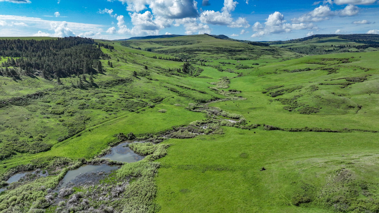 4228 Fairview Rd, Forest Grove, MT 59441