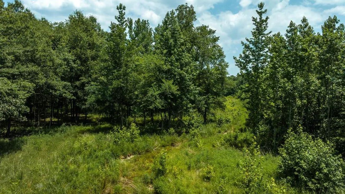 County Road 347, Neelyville, MO 63901