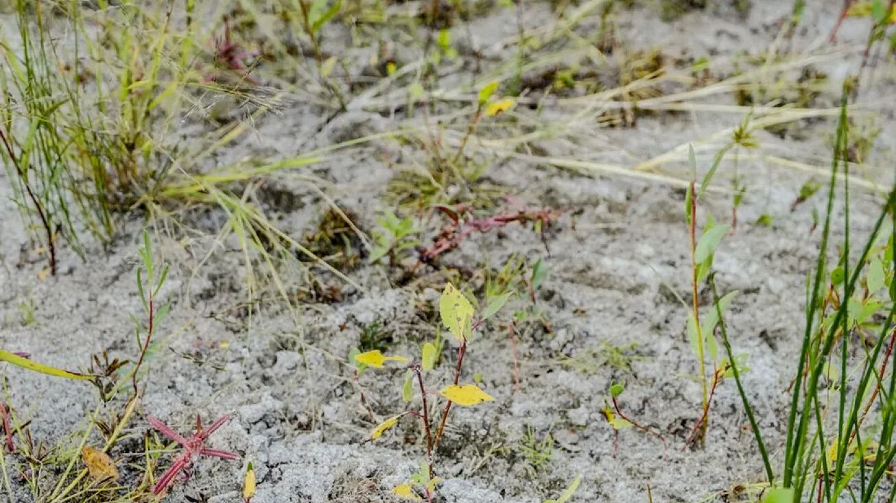 Rural 521 Ave, Neligh, NE 68756