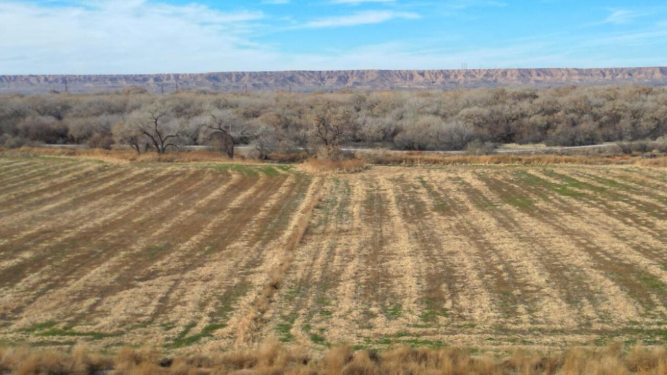 Nm304, Jarales, NM 87023