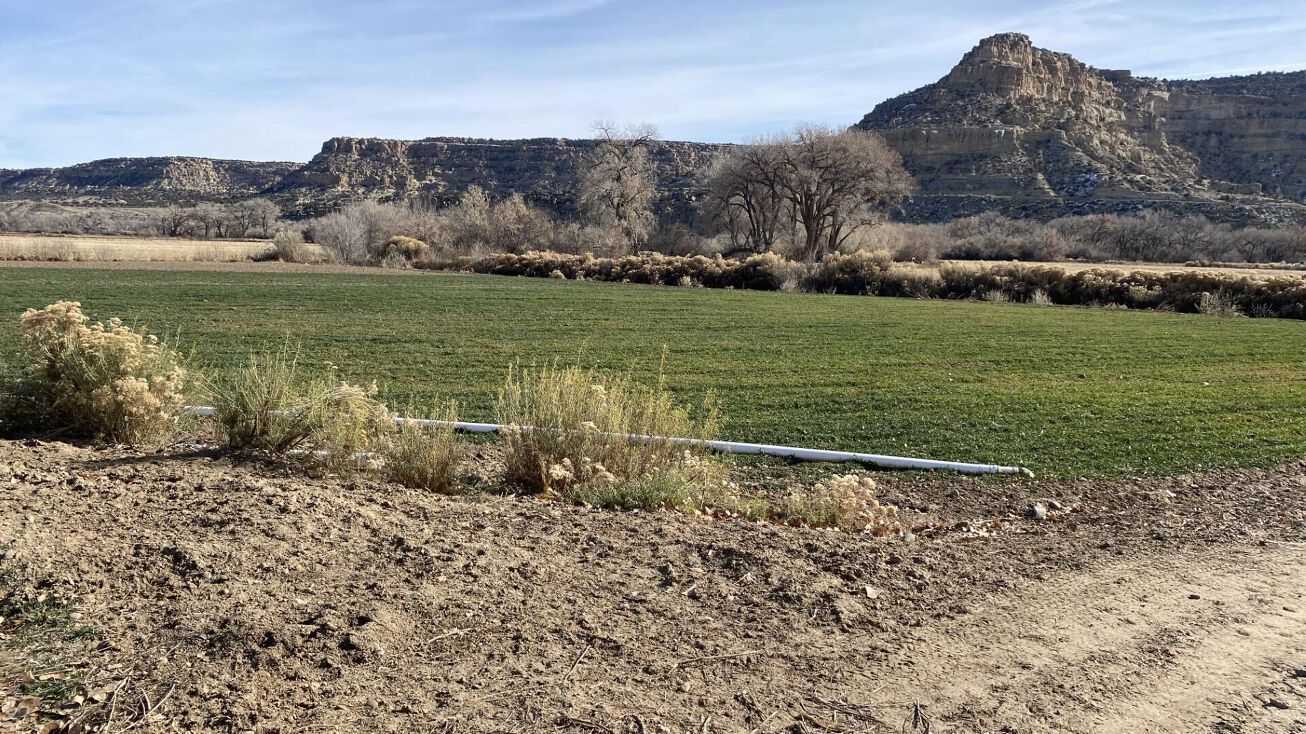 32 ROAD 4562, Blanco, NM 87412