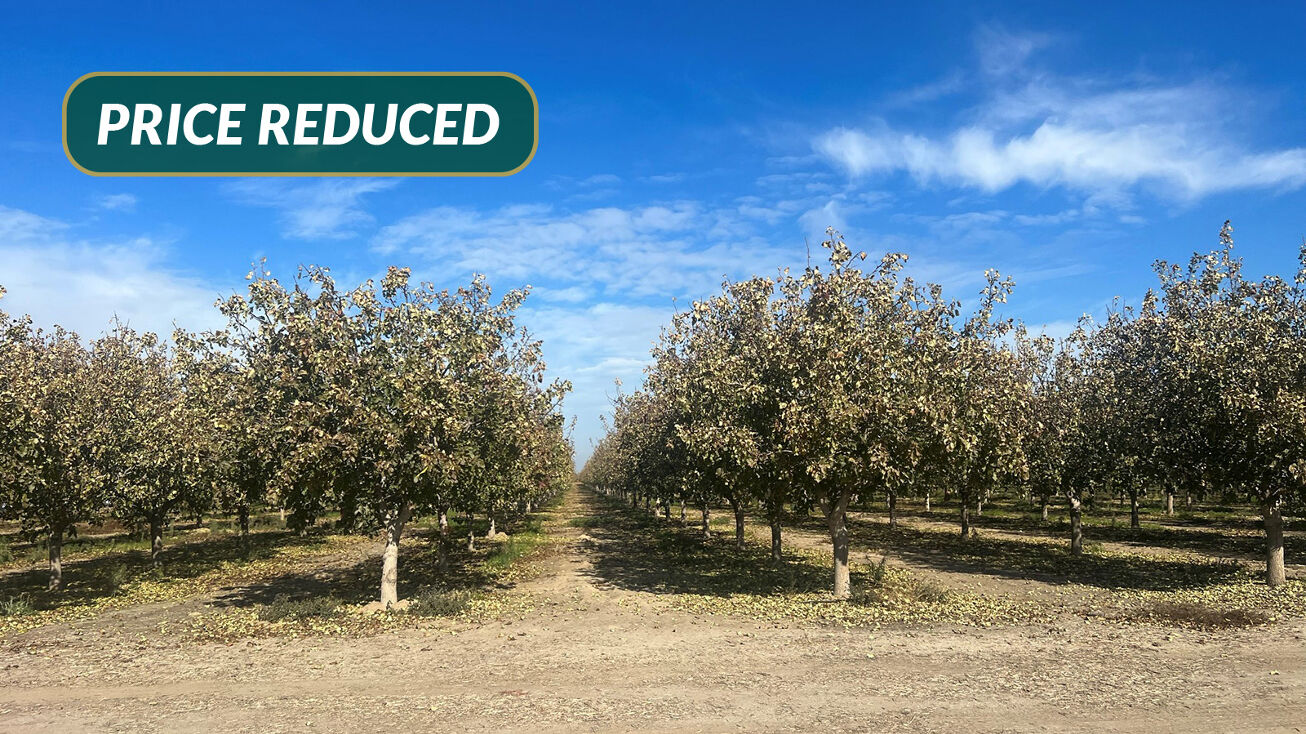 21287 Ave 6, Madera, CA 93637