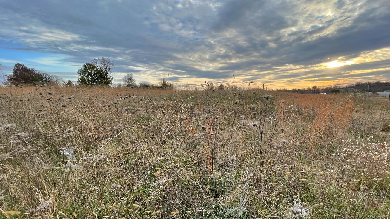 Robinbrooke Blvd, Elizabethtown, KY 42701