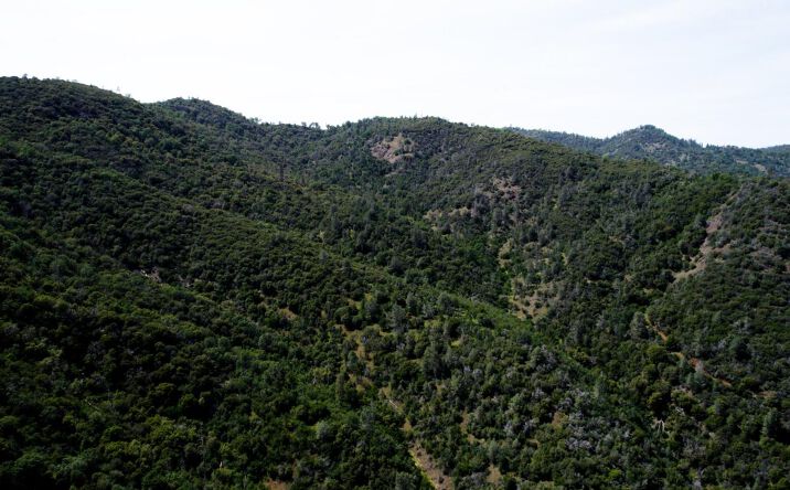 Pictures of Land property located at 2 Road 200, Coarsegold, CA 93614 for sales - image #1