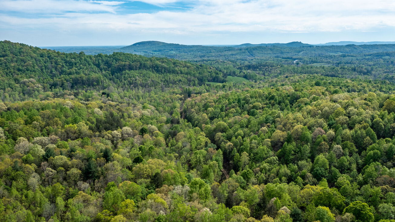 0 Gilreath Court, Moravian Falls, NC 28654, Taylorsville, US 28681