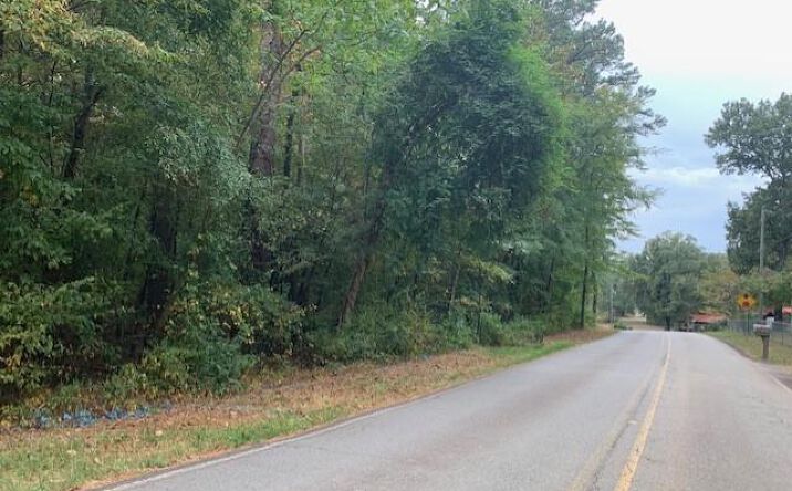 Pictures of Land property located at Salem Road, Benton, AR 72019 for sales - image #1