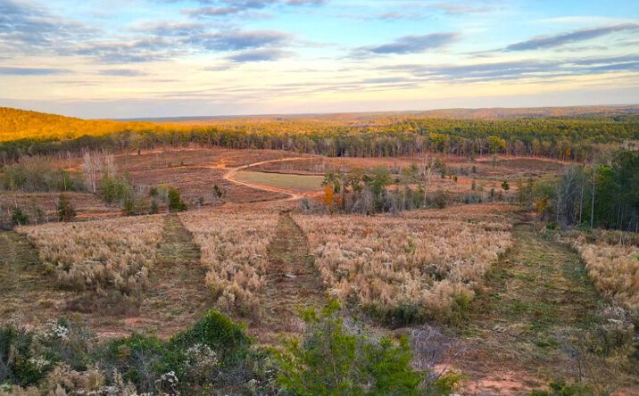 800 Smoke Rise Dr, Woodland, GA 31836 | Crexi.com