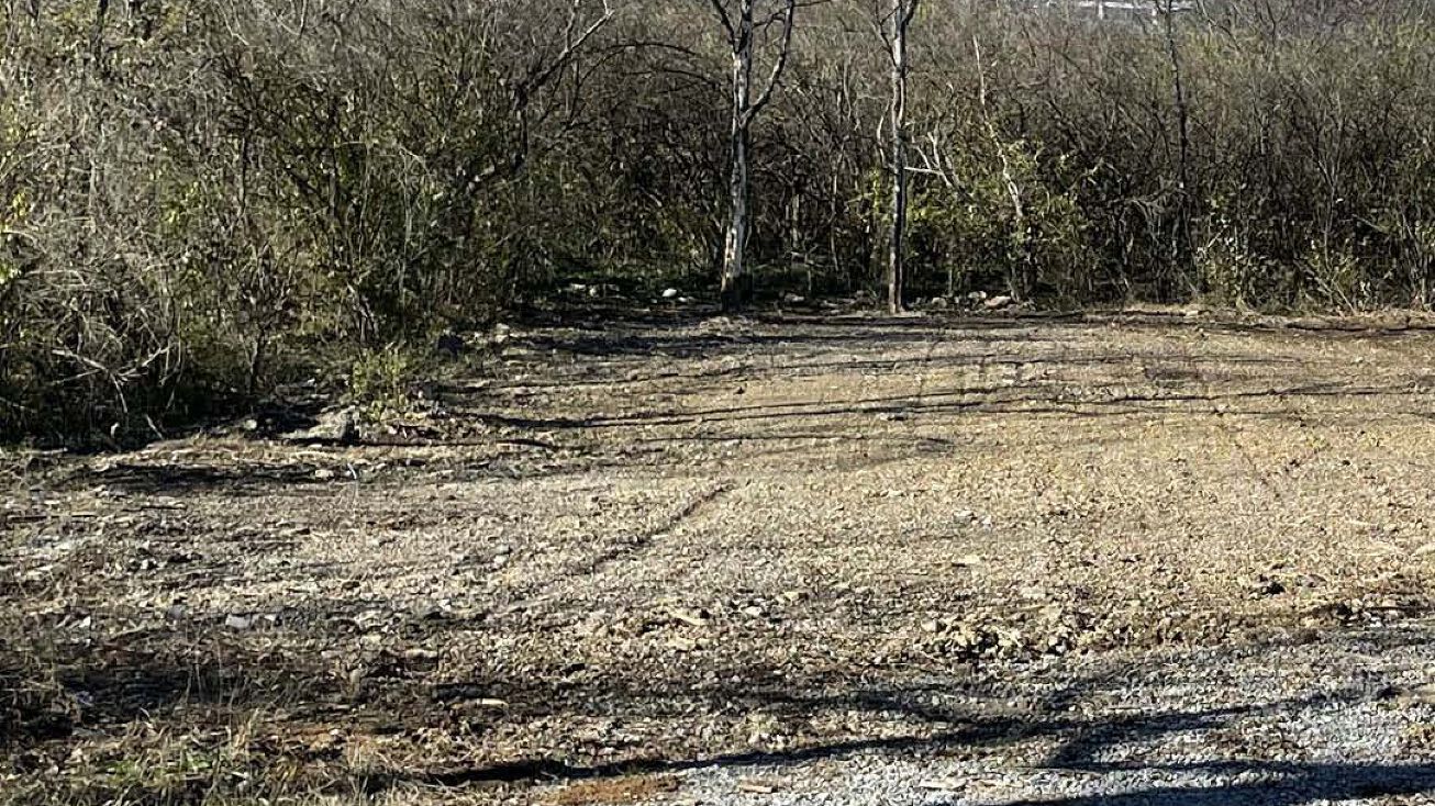 2119 Cliff Dr, Nashville, TN 37218