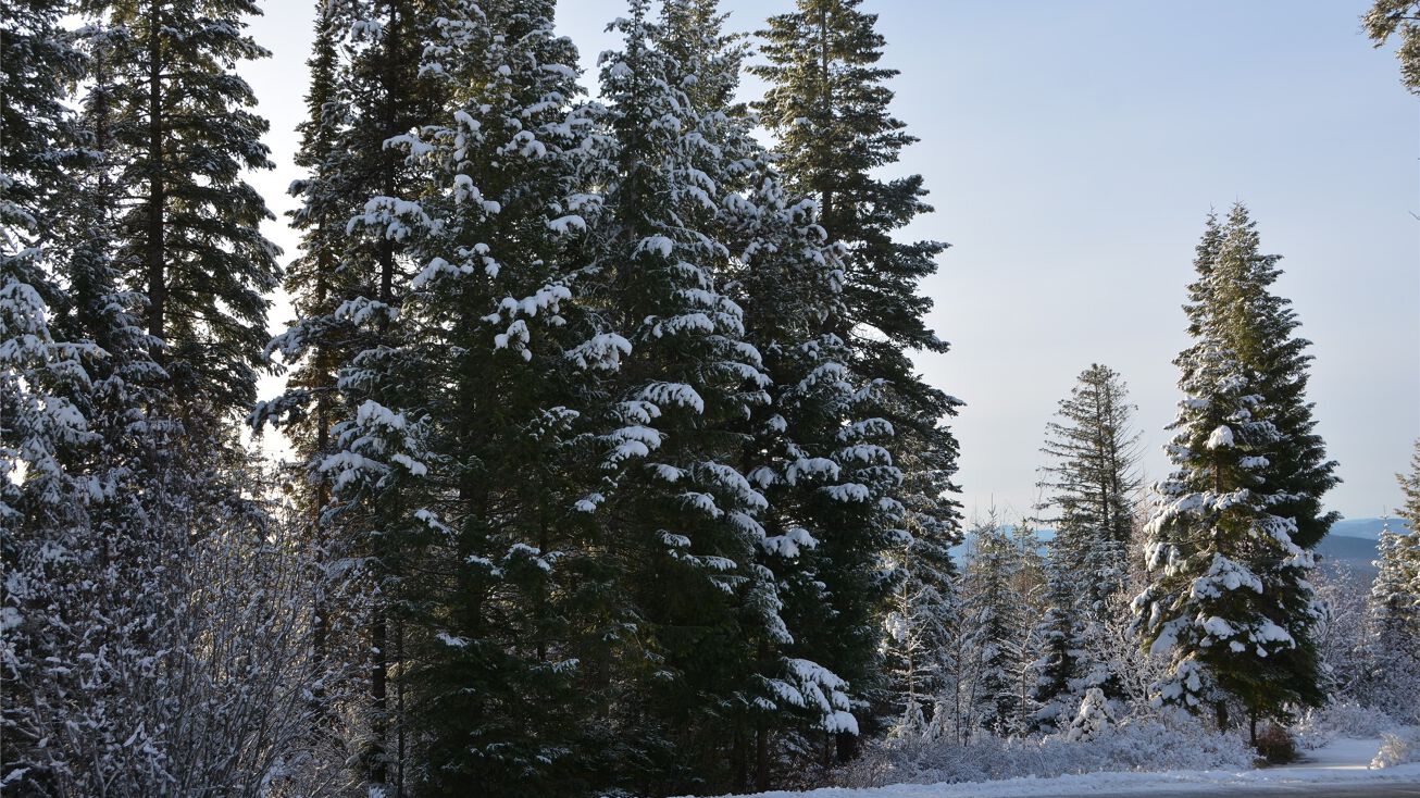 3023 Iron Horse Drive, Whitefish, MT 59937