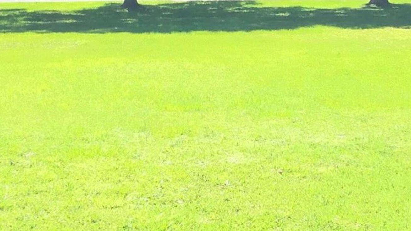 Narcoossee Rd, Orlando, FL 32832