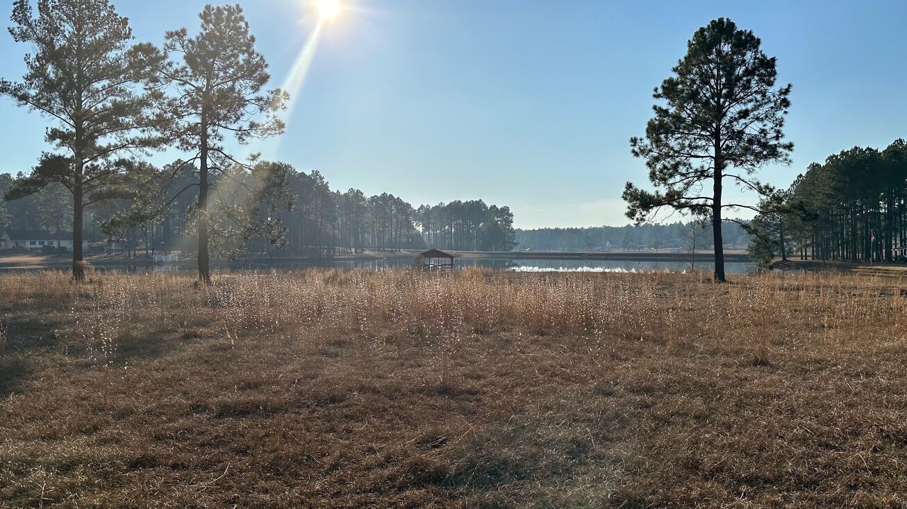 Concord Dr, Mcrae, GA 31037