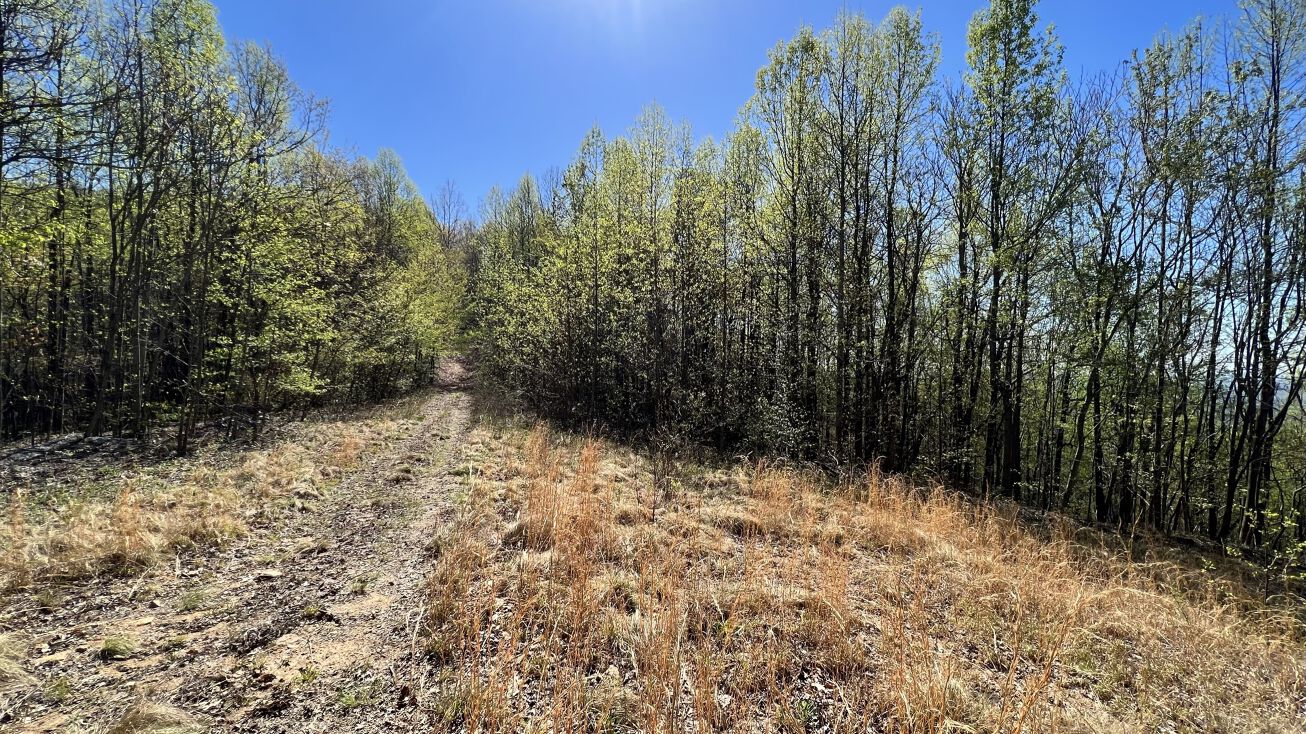 3325 Eagle Heights Cir, Cedar Rock, NC 28645