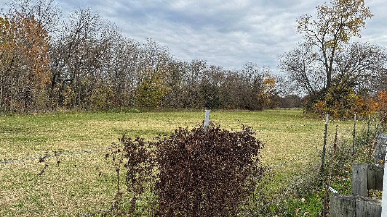 1409 Rowlett Rd, Rowlett, TX 75088