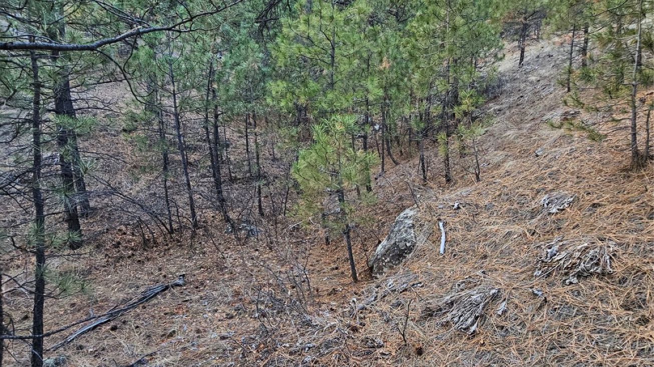 NHN Pryor Creek Lane, Cascade, MT 59421