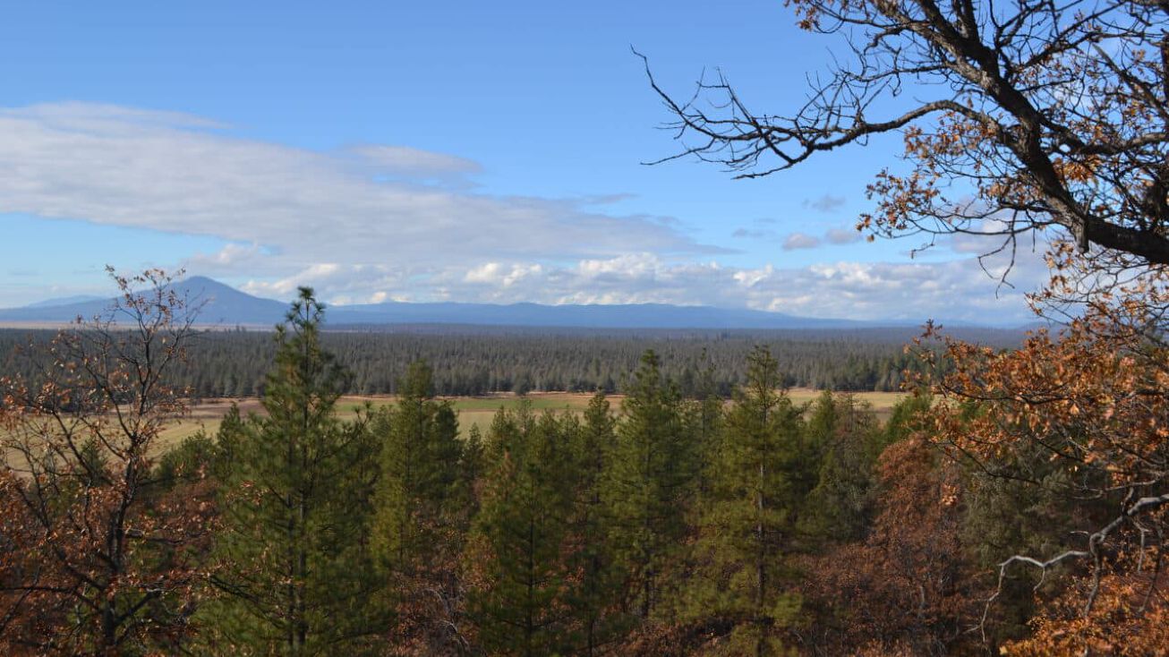 NSA Day Road, Mcarthur, CA 96056