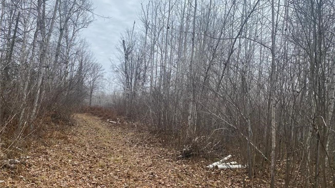 2756 Aho Rd, Mahtowa, MN 55707