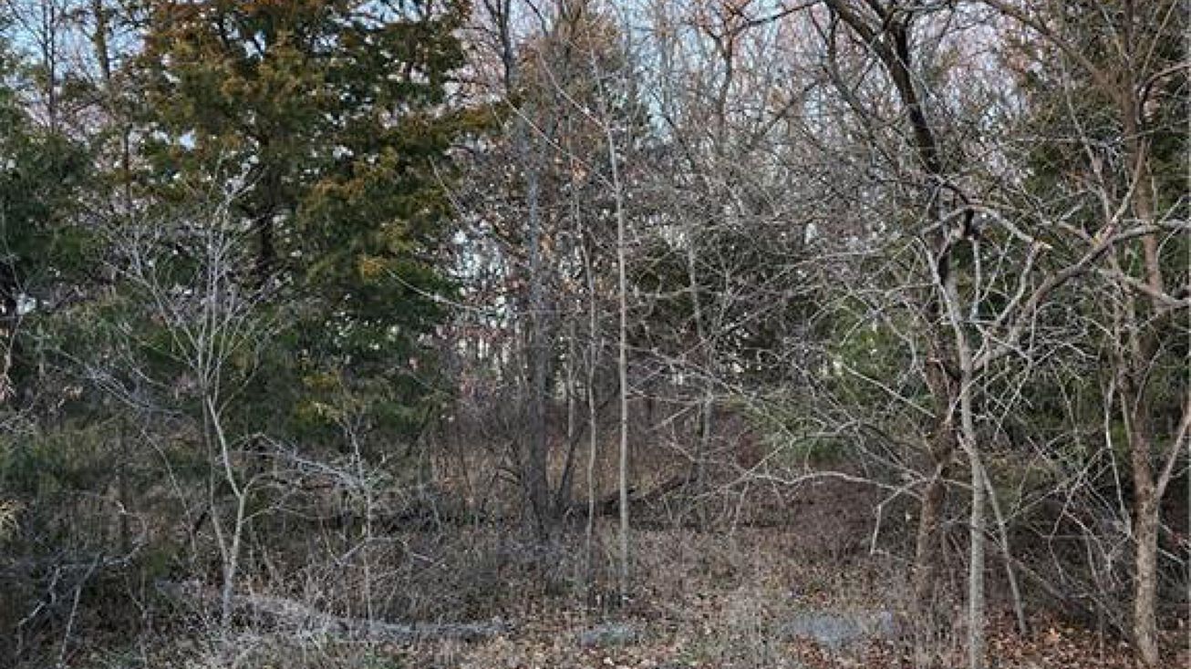 153 Sycamore Drive, Linn Valley, KS 66040