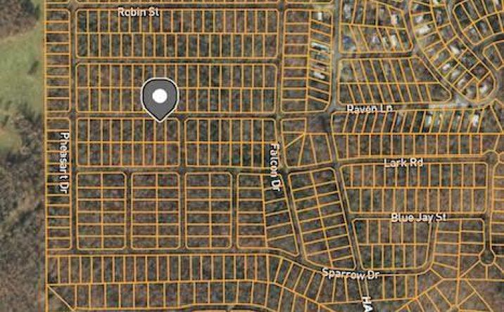 Pictures of Land property located at 1418-1420 Raven Street, Horseshoe Bend, AR 72512 for sales - image #1