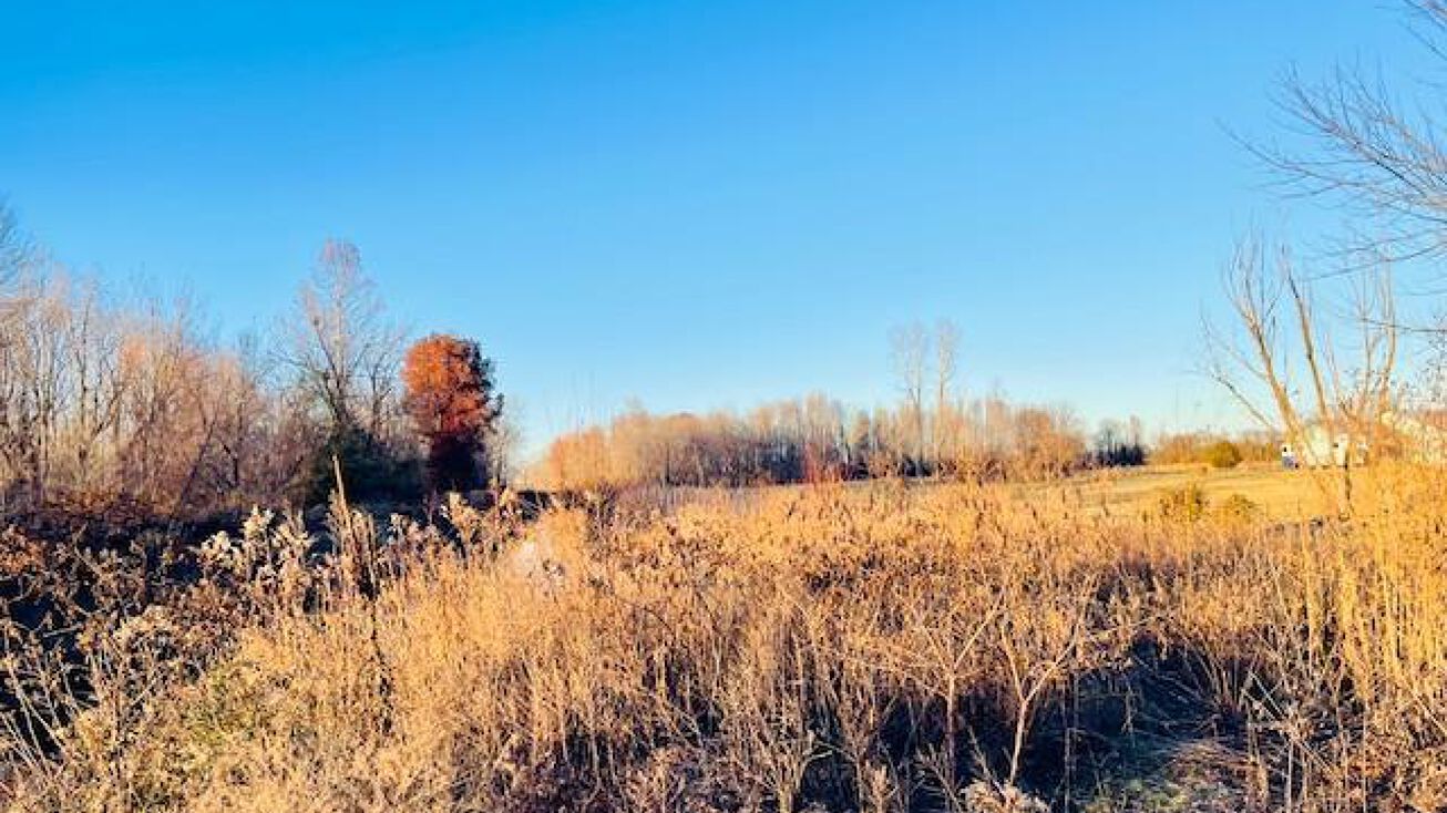 County Highway 450, Sikeston, MO 63801