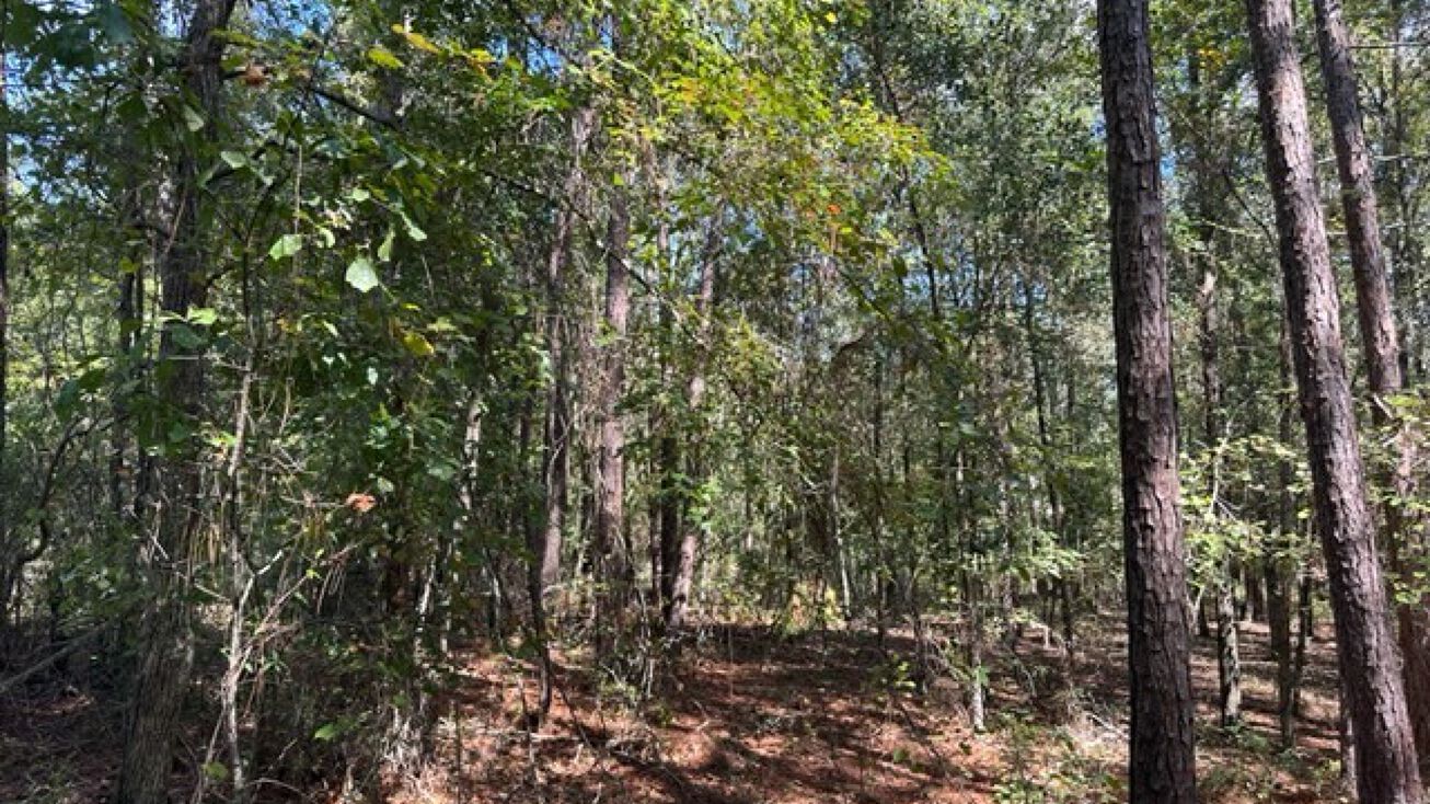 Old Prison Camp Rd, McRaeHelena, GA 31055