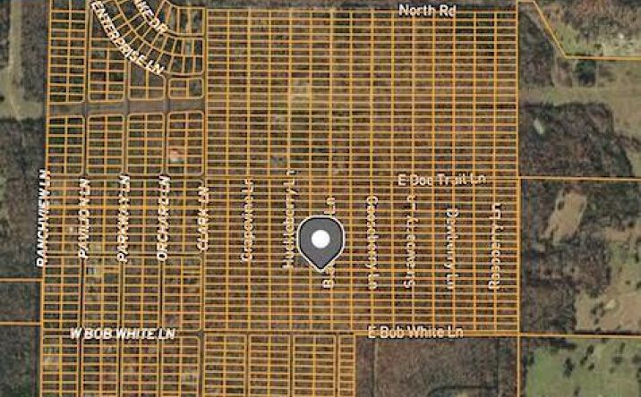 Pictures of Land property located at 1407 Blackberry Ln, Horseshoe Bend, AR 72512 for sales - image #1