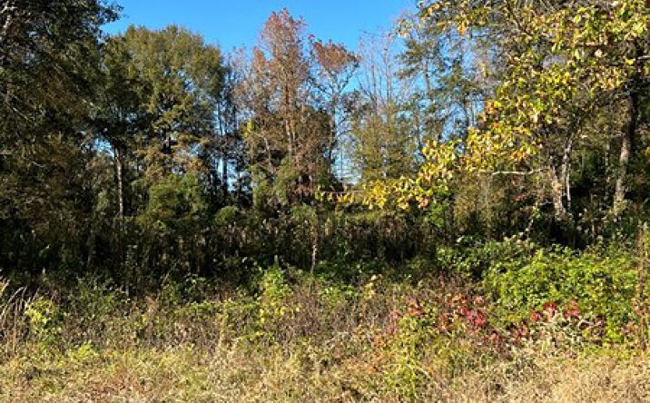 Pictures of Land property located at 301 Baker St, Atlanta, TX 75551 for sales - image #1