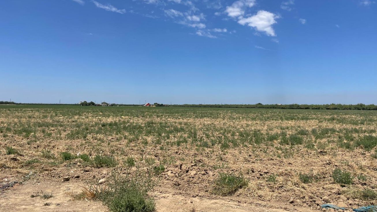 0 Dodds Road, Crows Landing, CA 95313