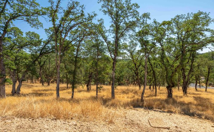 Pictures of Land property located at 711 Peabody Court, El Dorado Hills, CA 95762 for sales - image #1
