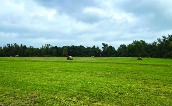 Pictures of Land property located at Lithium Play 15, Stamps, AR 71860 for sales - image #1