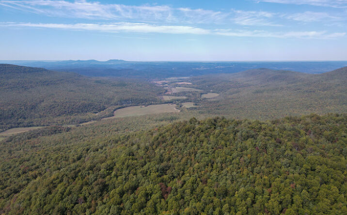 Pictures of Land property located at Point Peter Mountain West, Searcy County, AR 72650 for sales - image #1