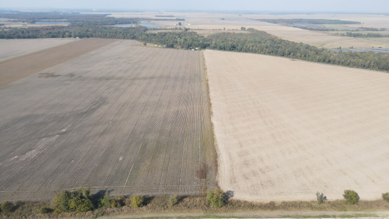 Lane Family Farm, Lonoke County, AR 72024