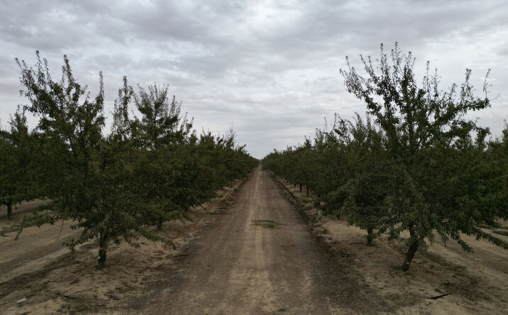 Pictures of Land property located at Poplar Ave, Shafter, CA 93263 for sales - image #1