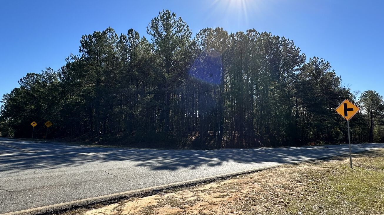 E Pine St, Swainsboro, GA 30401