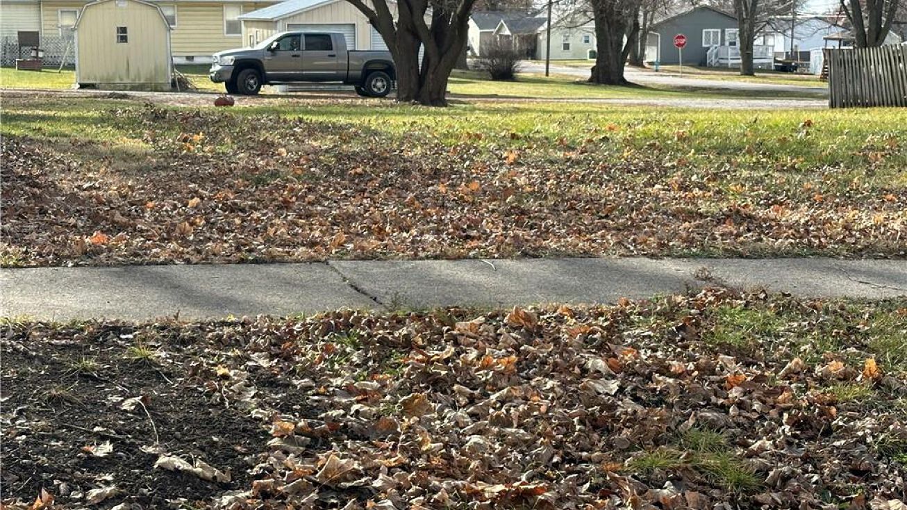 W Cornhill Street, Cameron, MO 64429