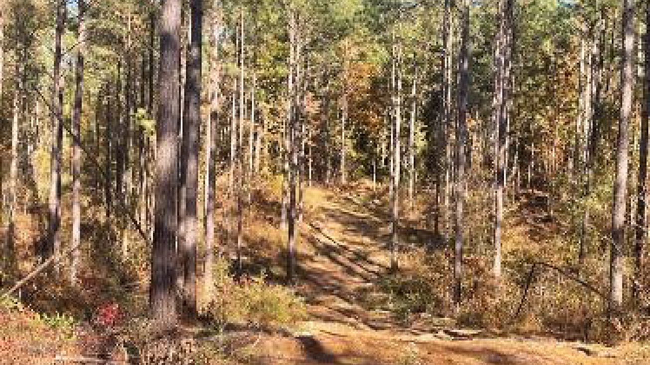 156 Acres in Lauderdale County, Collinsville, MS 39325