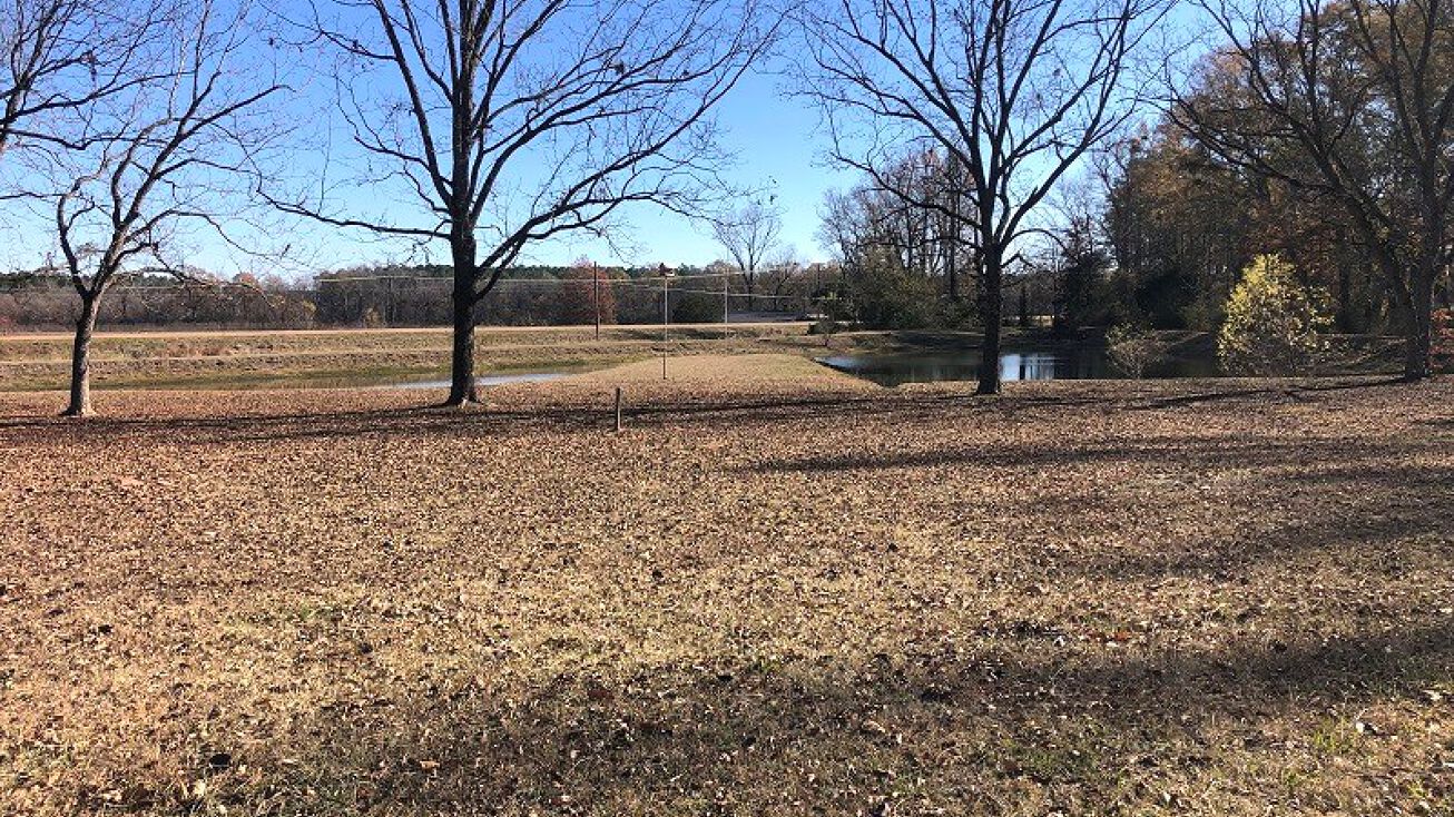 8215 Hwy 15, Vaiden, MS 39176