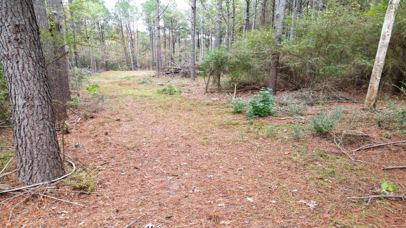 6.78 Acres in Newton County, Decatur, MS 39327 | Crexi.com