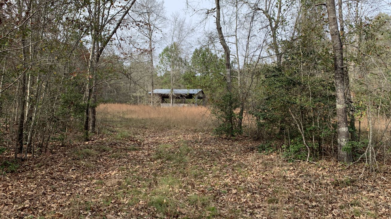 GA81, Loganville, GA 30052