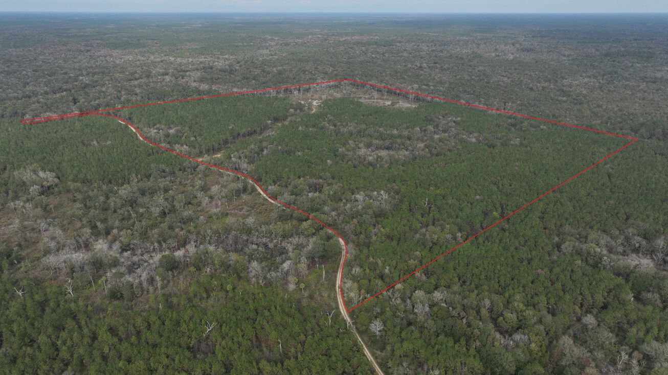 Boatright Well Road, Otter Creek, FL 32683