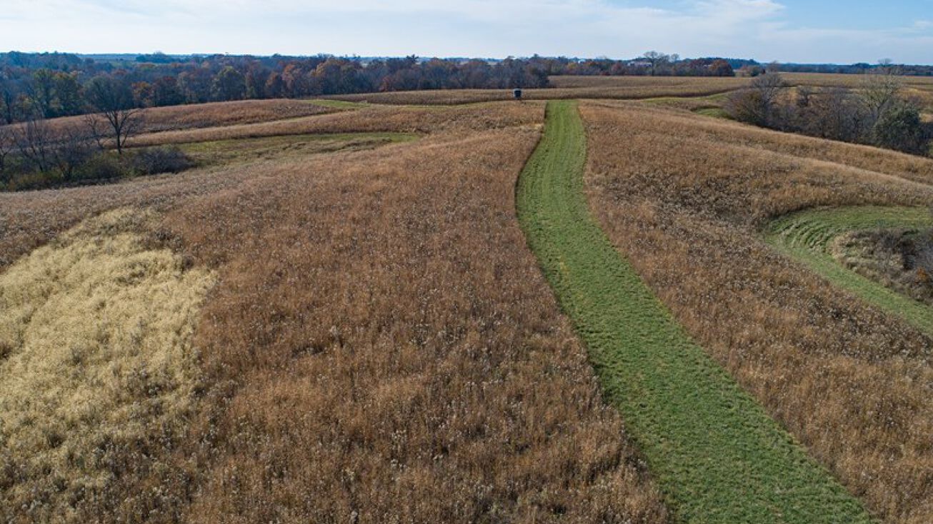 2432 Wintergreen Blvd, Lockridge, IA 52635