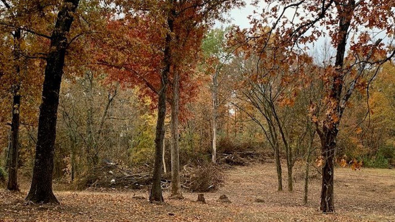 2549 State Hwy 21S, Poynor, MO 63935