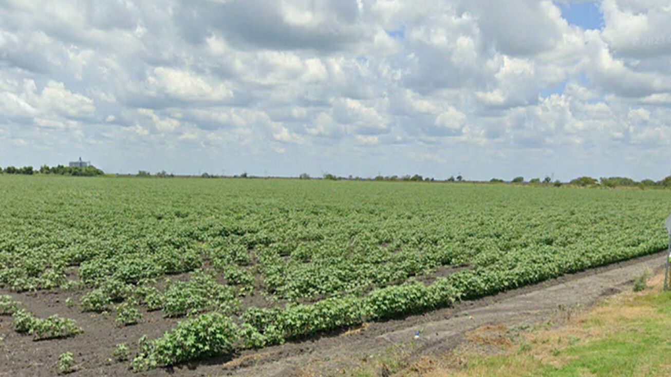 10952 County Rd 1360, Taft, TX 78390