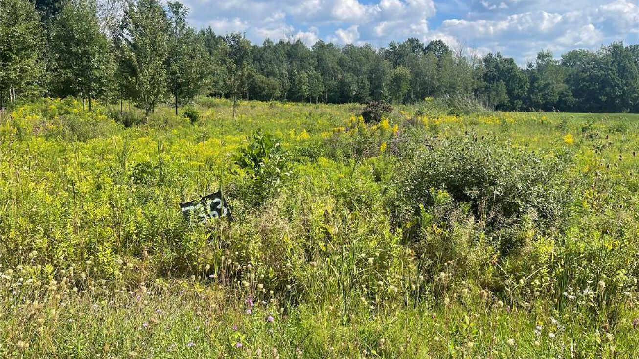 7363 Cedar St, Akron, NY 14001