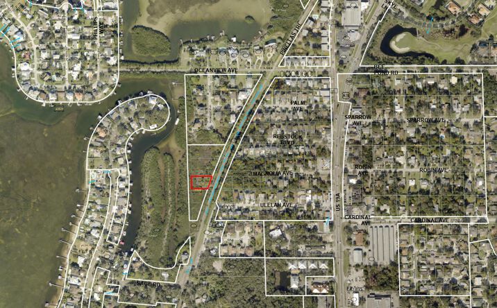 Pictures of Land property located at Magnolia Ave & Ulelah Ave, Palm Harbor, FL 34681 for sales - image #1