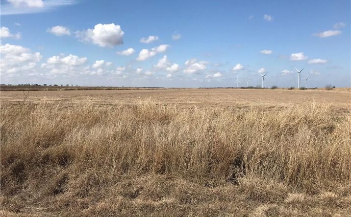 Pictures of Land property located at FM 506, Santa Rosa, TX 78593 for sales - image #1